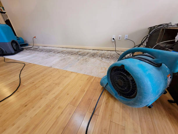 Professional Ceiling Water Damage Repair technician working in Athens, ME